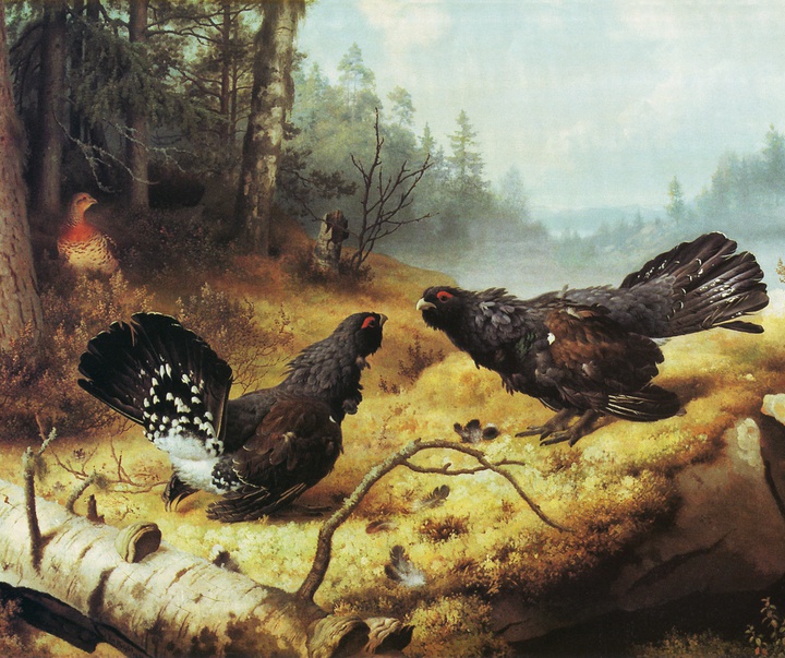 ferdinand von wright
