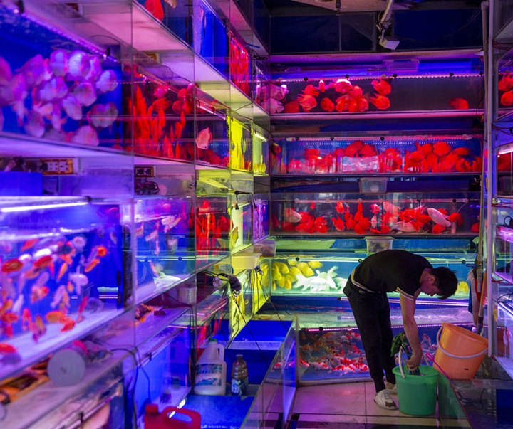 گالری آثار عکاسی برونو باربی از مراکش