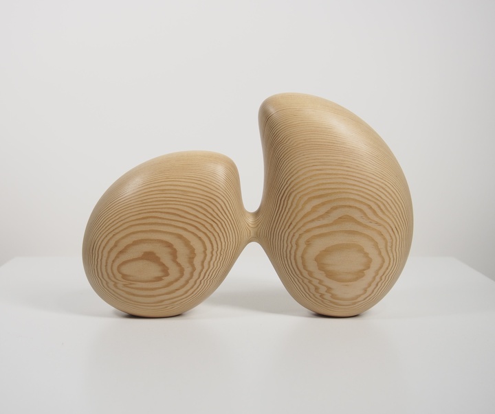 گالری آثار حجم مایک ساساکی از کانادا