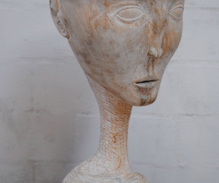 گالری آثار حجم آندرس آگیره از اکوادور