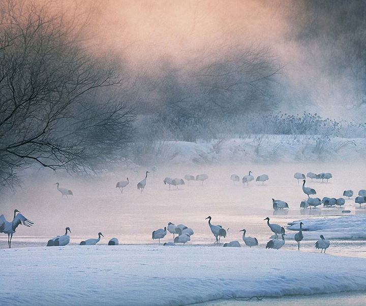گالری عکس‌های خلاقانه تیم فلچ از بریتانیا