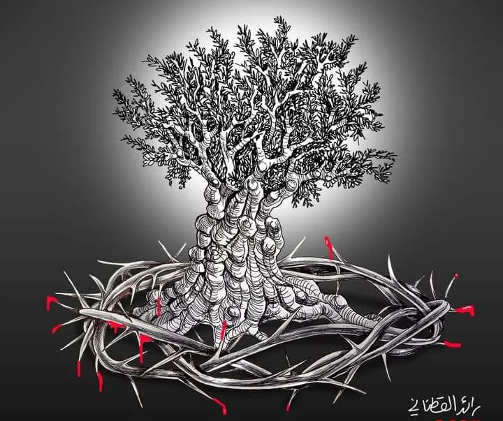 گالری تصویرسازی‌های رائد یوسف کاتان از فلسطین