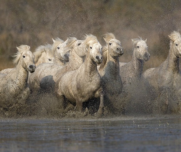 گالری آثار عکاسی جیم زاکرمن از برزیل - قسمت دوم