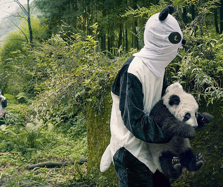 گالری عکس‌های خلاقانه تیم فلچ از بریتانیا