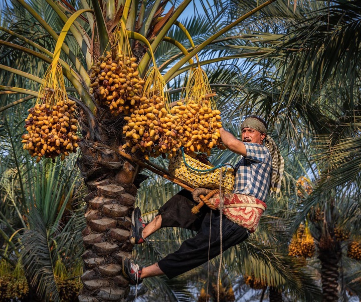 گالری عکس های یعقوب حضوری از ایران