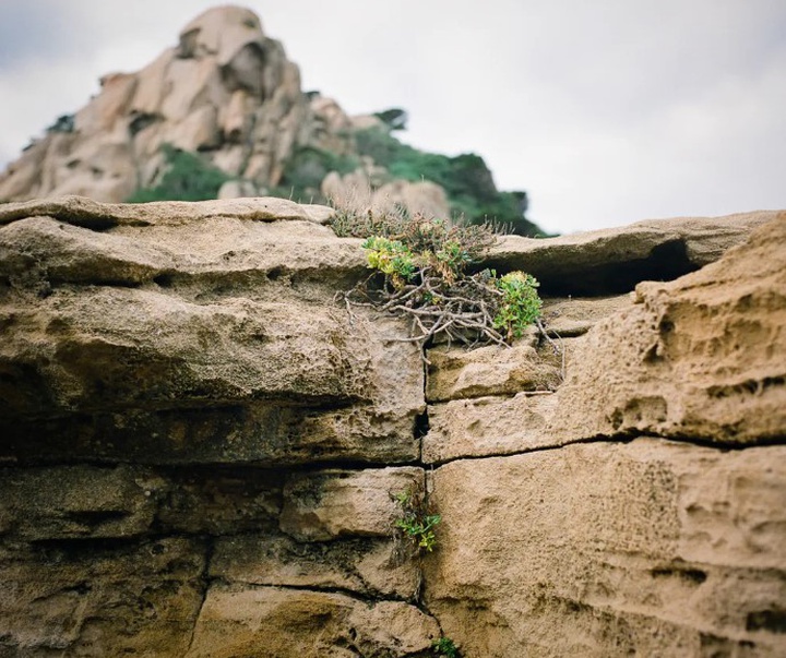 گالری آثار عکاسی مایک سایدل از آلمان