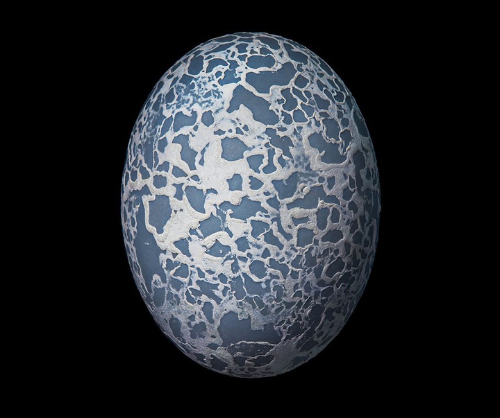 گالری عکس‌های خلاقانه تیم فلچ از بریتانیا