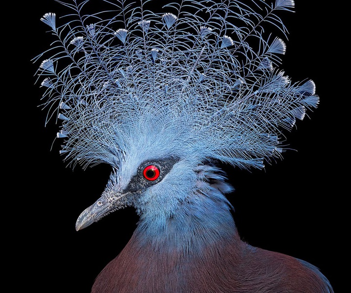 گالری عکس‌های خلاقانه تیم فلچ از بریتانیا