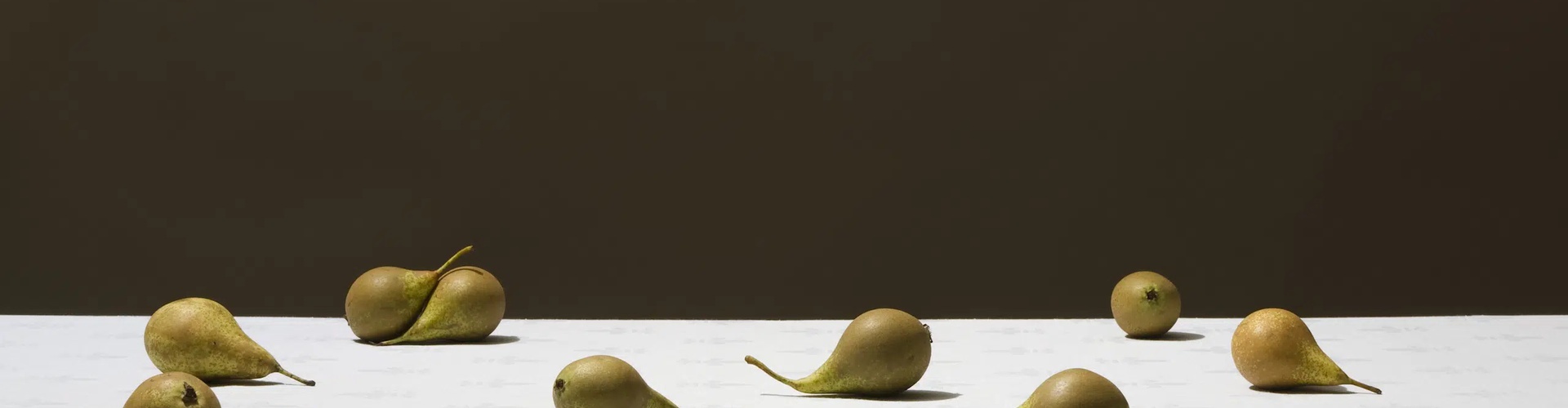 گالری عکس های پاول زک از لهستان