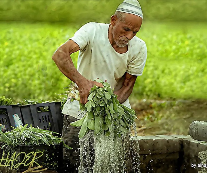 گالری آثار عکاسی محمد الحاجر از بحرین