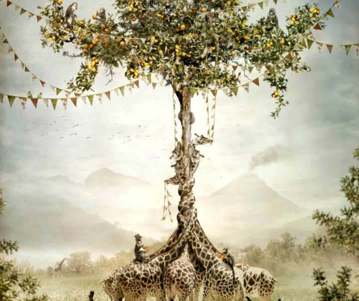 گالری آثار عکاسی اوریول یولانچ از اسپانیا