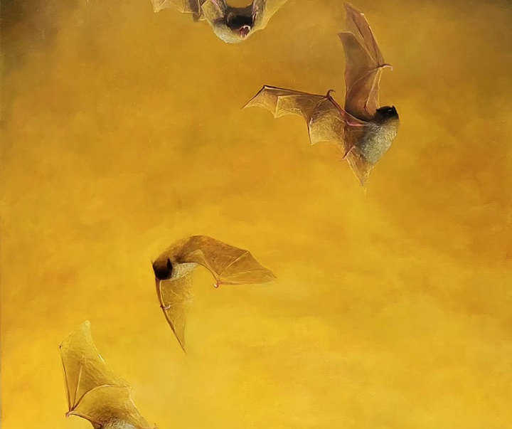 گالری نقاشی‌های لولا ماری از آرژانتین