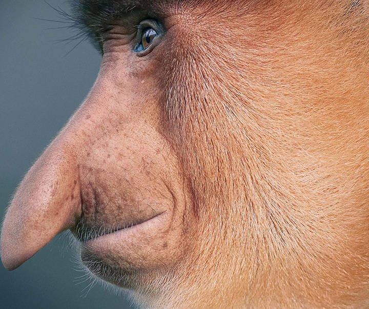 گالری عکس‌های خلاقانه تیم فلچ از بریتانیا