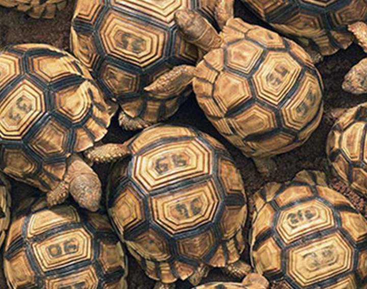 گالری عکس‌های خلاقانه تیم فلچ از بریتانیا