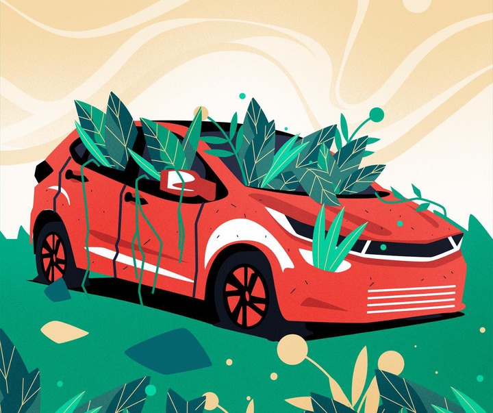 گالری تصویرسازی‌های دنیس فریتاس از برزیل