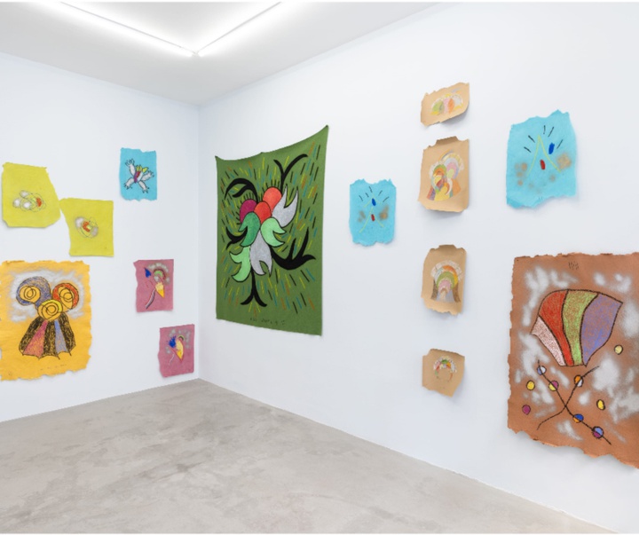 گالری تصویرسازی‌های تادسکیا از برزیل