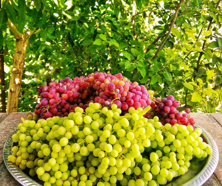 گالری عکس های آدا سلیمانی از ایران