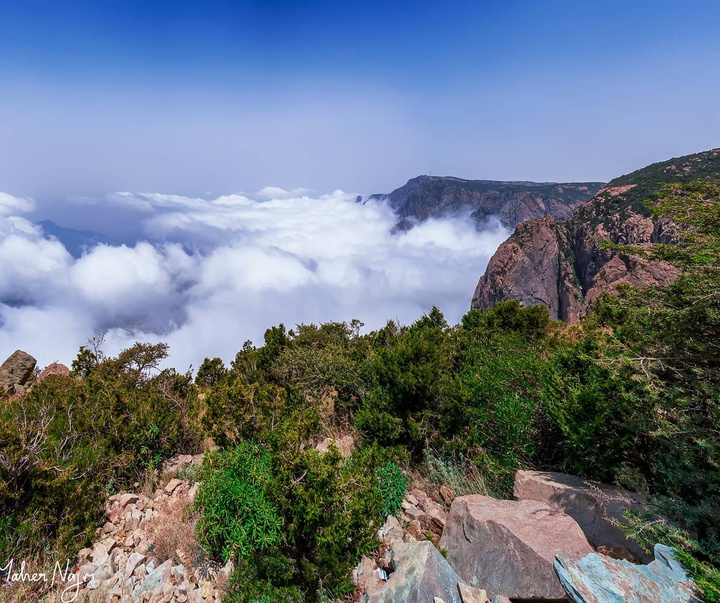 گالری آثار عکاسی ماهر نجم از عربستان