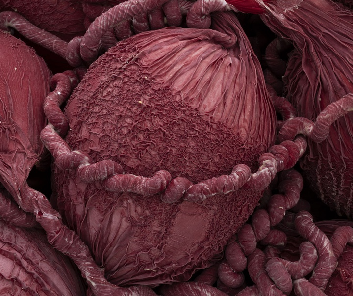 گالری آثر چیدمان و حجم اوا فابرگاس از اسپانیا