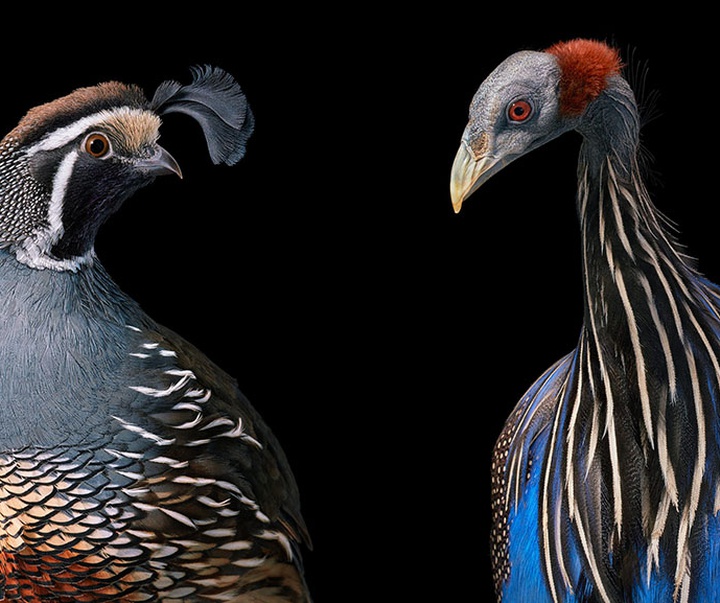 گالری عکس‌های خلاقانه تیم فلچ از بریتانیا