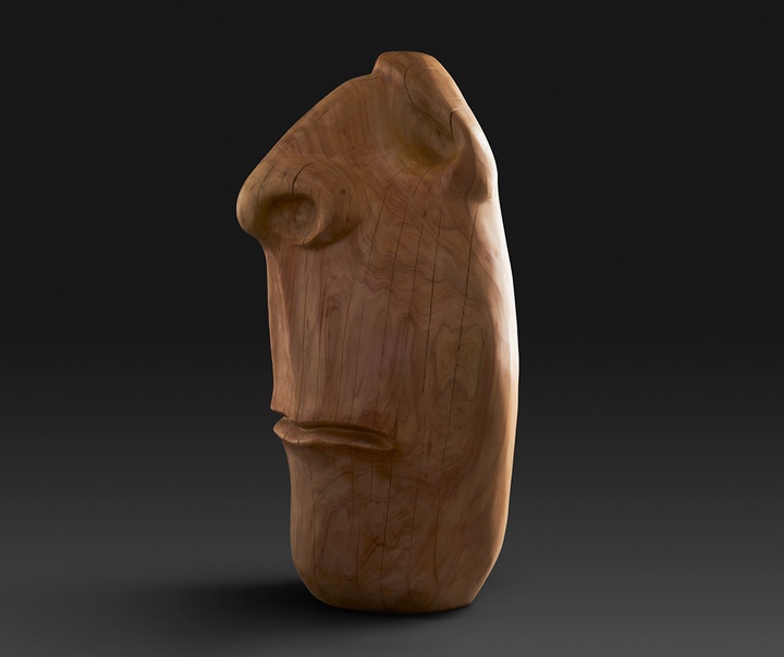 گالری آثار حجم آندرس آگیره از اکوادور