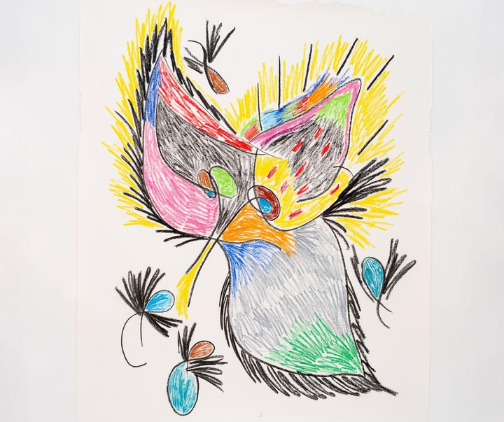 گالری تصویرسازی‌های تادسکیا از برزیل