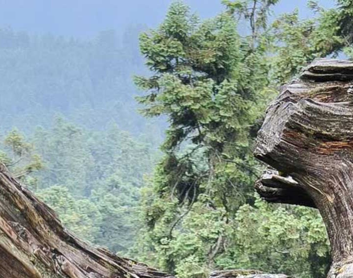 گالری آثار عکاسی اروین آندرس فریر اوکانا از مکزیک