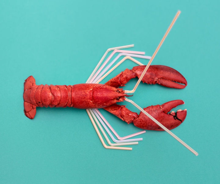 گالری عکس‌های وولف سیلوری از اتریش