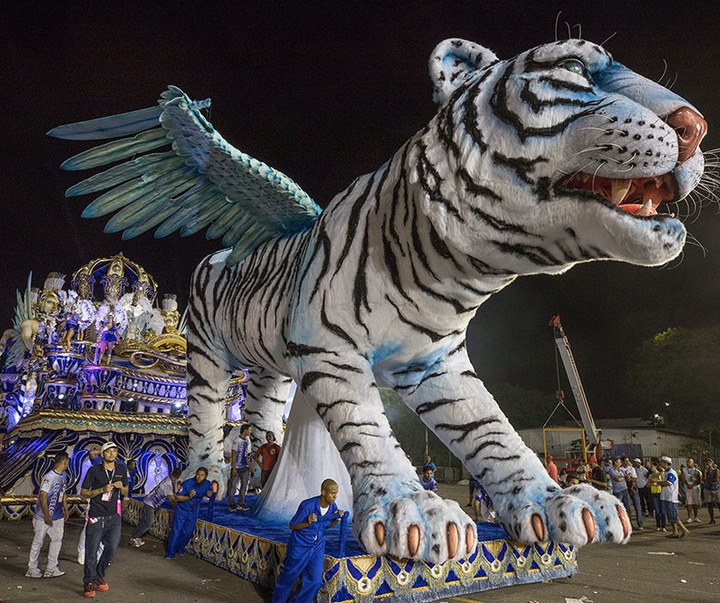 گالری آثار عکاسی جیم زاکرمن از برزیل - قسمت اول