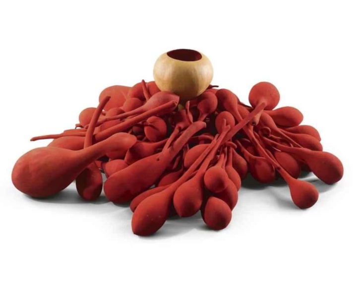 گالری آثار حجم آنیش کاپور از هند