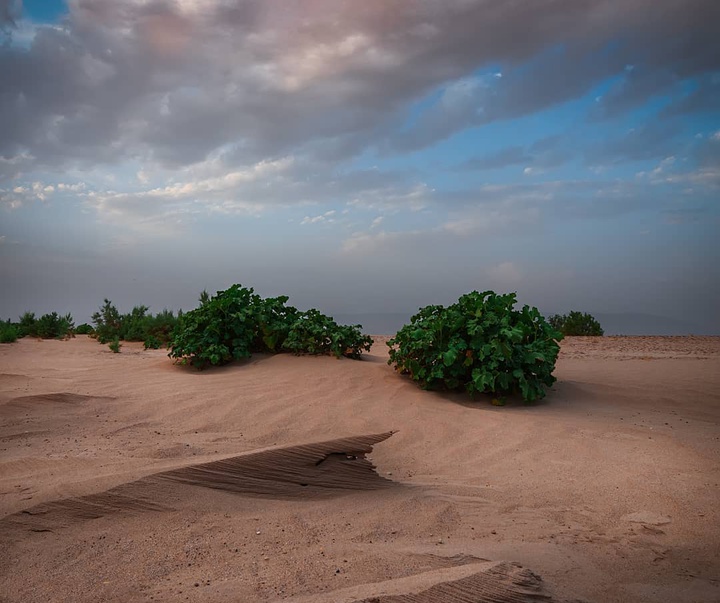 گالری آثار عکاسی فرشاد سرخی از ایران