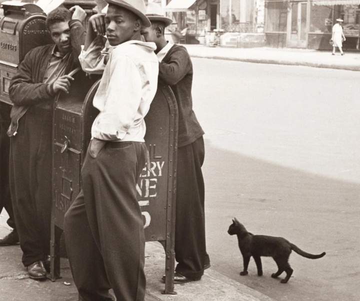 گالری عکس‌های هلن لویت از آمریکا