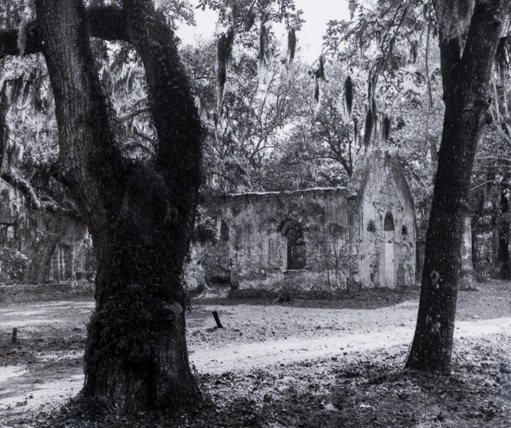 گالری آثار عکاسی کری می ویمز از آمریکا