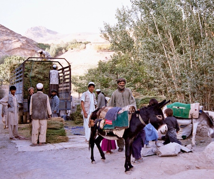 گالری آثار عکاسی کریستین ایبل از فرانسه