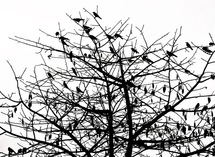 گالری عکس های پاول جت از آمریکا