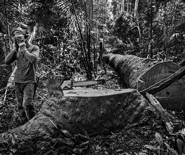 گالری آثار عکاسی لالو د آلمیدا از برزیل - قسمت دوم