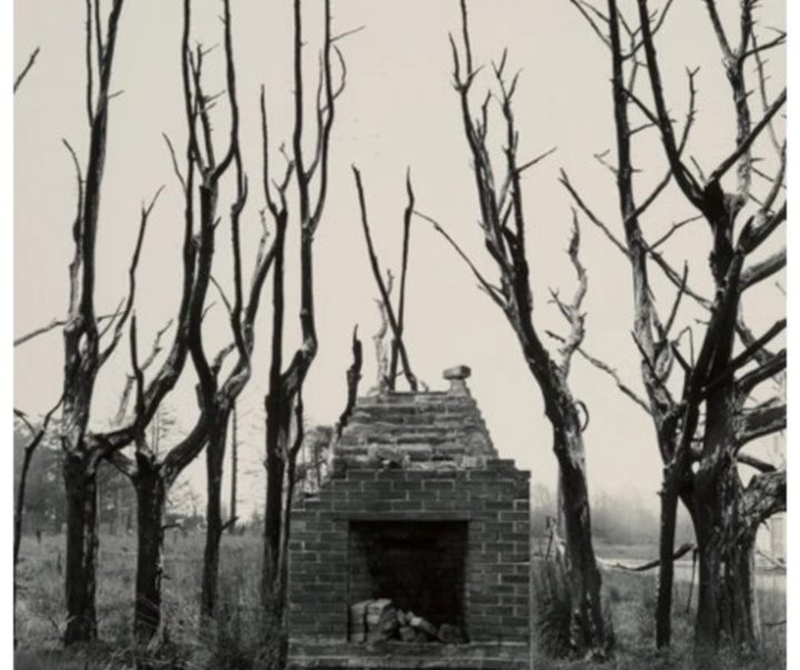 گالری عکس‌های ادوارد وستون از آمریکا