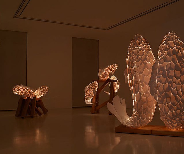 گالری آثار مجسمه و حجم فرانک گهری هنرمند آمریکایی کانادایی