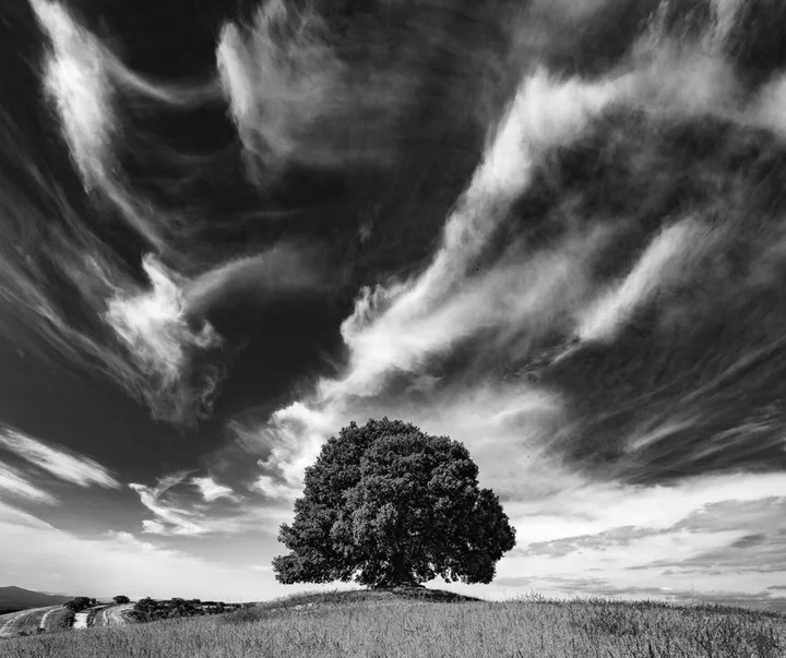 گالری آثار عکاسی جیامپائولو آنتونی از ایتالیا