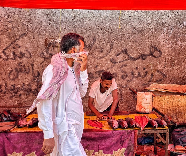 گالری عکس های یعقوب حضوری از ایران