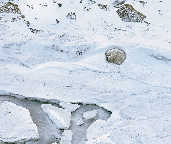 گالری عکس‌های خلاقانه تیم فلچ از بریتانیا