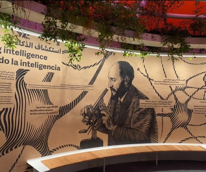 گالری نقاشی‌های خیابانی خورخه رودریگز از کوبا