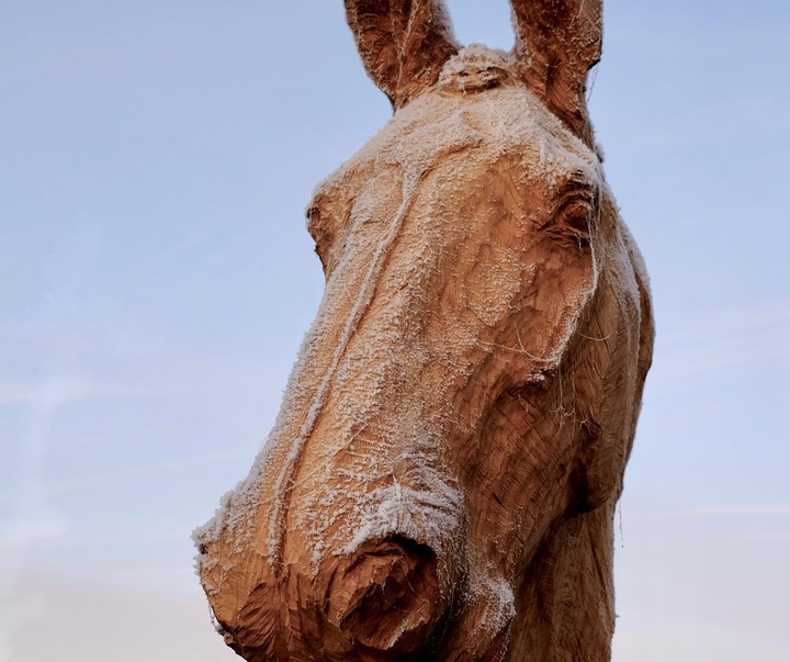 گالری آثار مجسمه و حجم جارد بارتز از آلمان