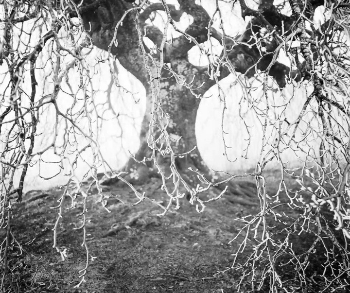 گالری آثار عکاسی مایک سایدل از آلمان