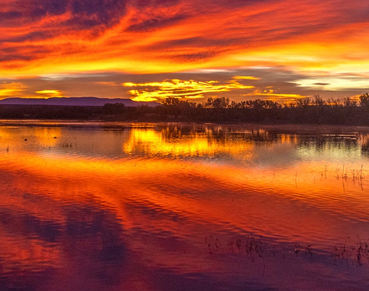 گالری آثار عکاسی جیم زاکرمن از برزیل - قسمت اول