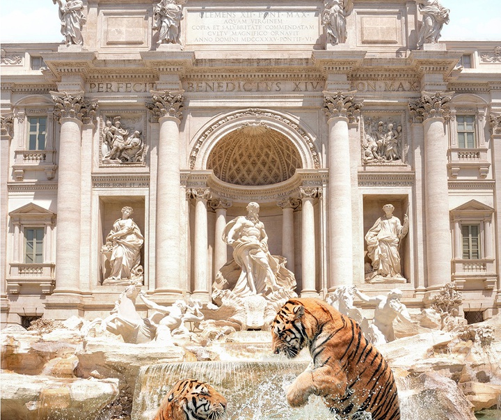 گالری آثار عکاسی پاول فوئنتس از بریتانیا