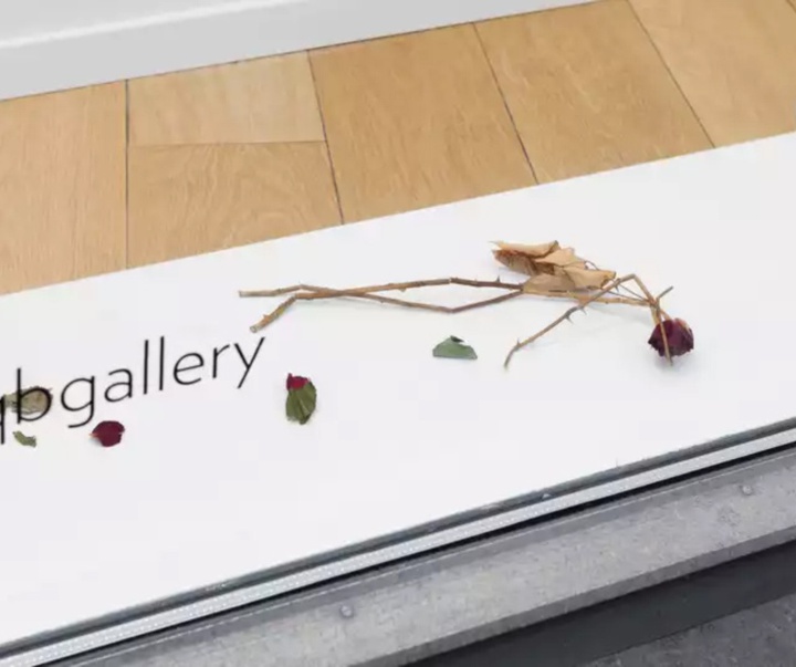 گالری آثار چیدمان و حجم کاره رود از نروژ