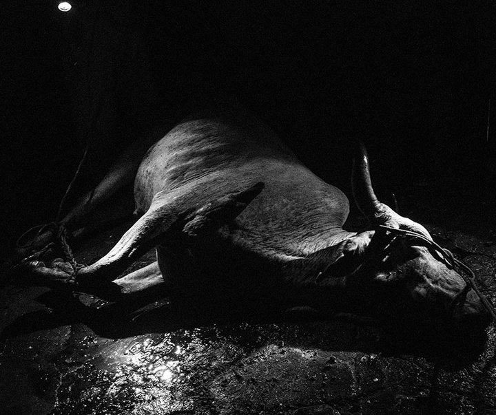 گالری آثار عکاسی خوانیتا اسکوبار از کلمبیا