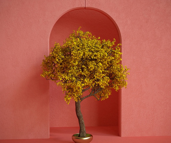 گالری آثار گرافیک سه بعدی خوزه کارلوس از کاستاریکا