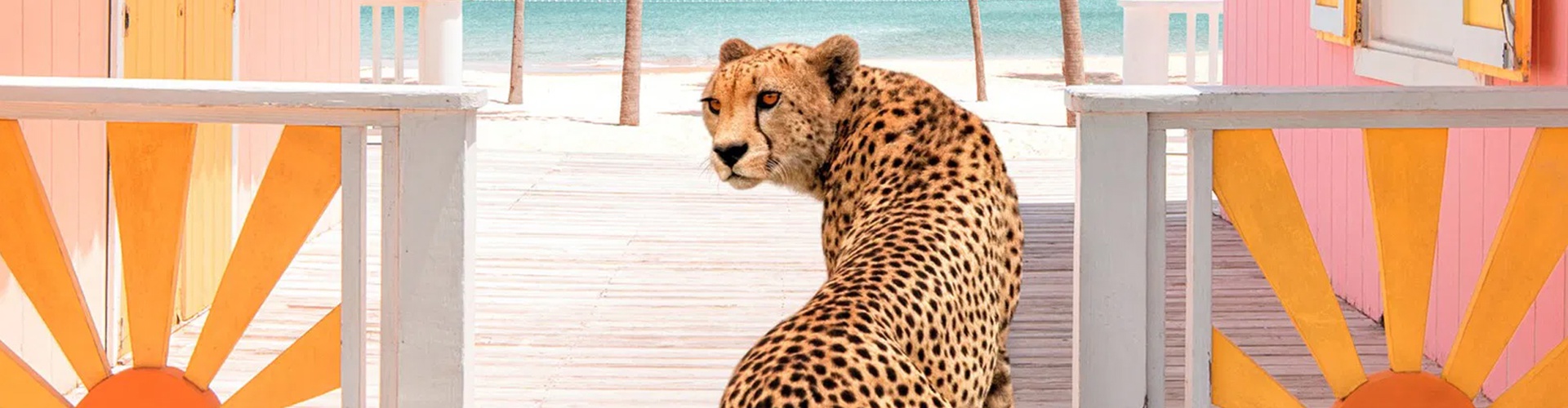 گالری آثار عکاسی پاول فوئنتس از بریتانیا